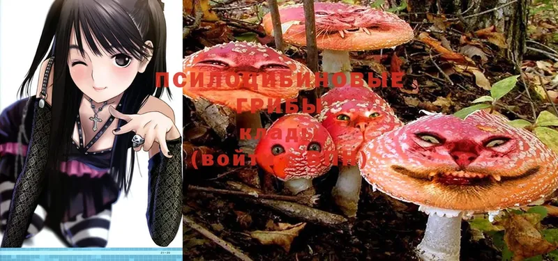 Галлюциногенные грибы Magic Shrooms  Красноуфимск 